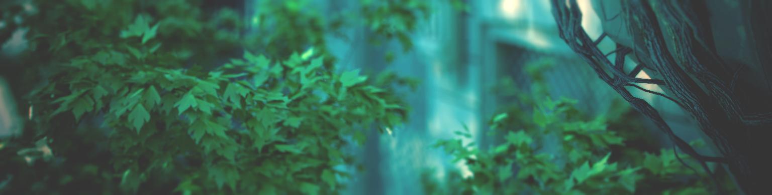 Green atmospheric banner image